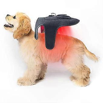 Cintura per terapia a luce infrarossa rossa per animali domestici, dispositivo portatile con 42 LED per alleviare il dolore - Soluzione per la cura e la riabilitazione delle articolazioni di cani e gatti
