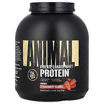 Animal, Isolate Loaded Whey Protein Powder, Strawberry, 4 lb (1.81 kg)