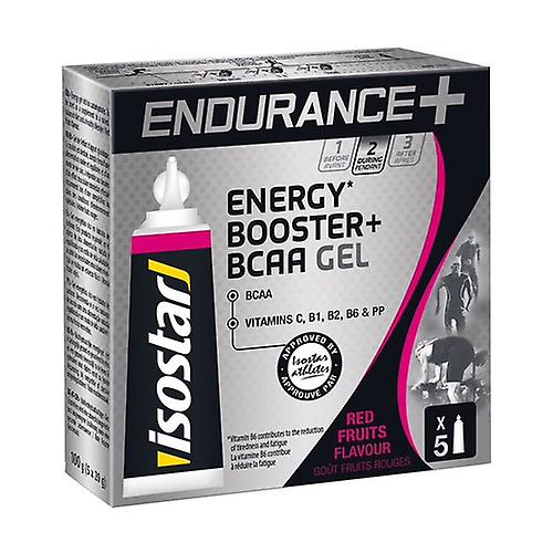 Endurance Bcaa Gel 5 units