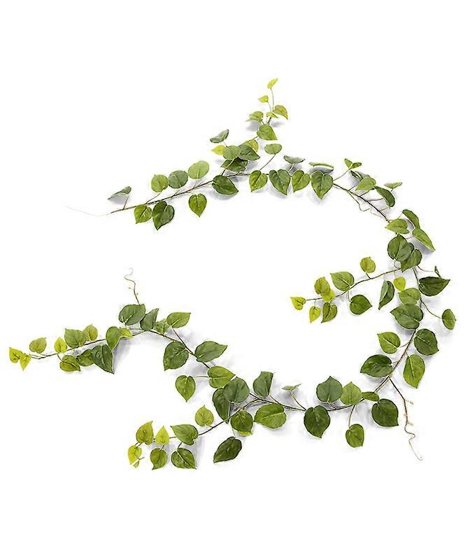 Philodendron Garland (180 cm)