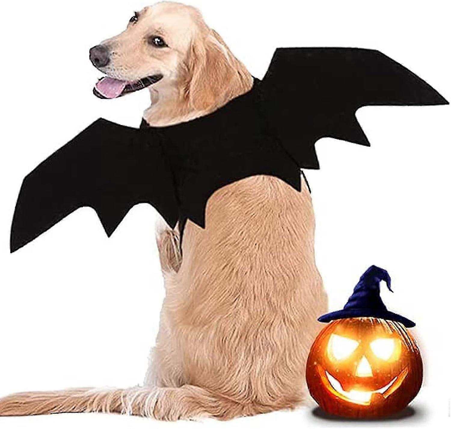 Psie netopierie krídla, psí halloweensky kostým, veľký kostým psa, kostým psieho netopiera, psie halloweenske oblečenie, na domácu dekoráciu