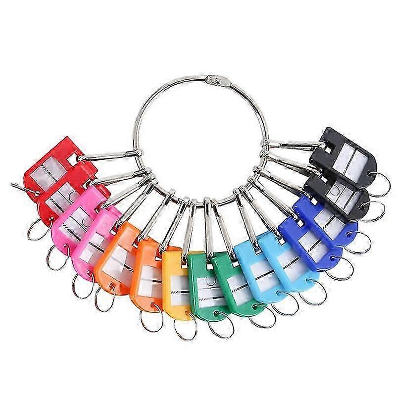 Portable Metal Ring Key Organizer With 20 Spring Hooks Key Tags With Ring And Label Window