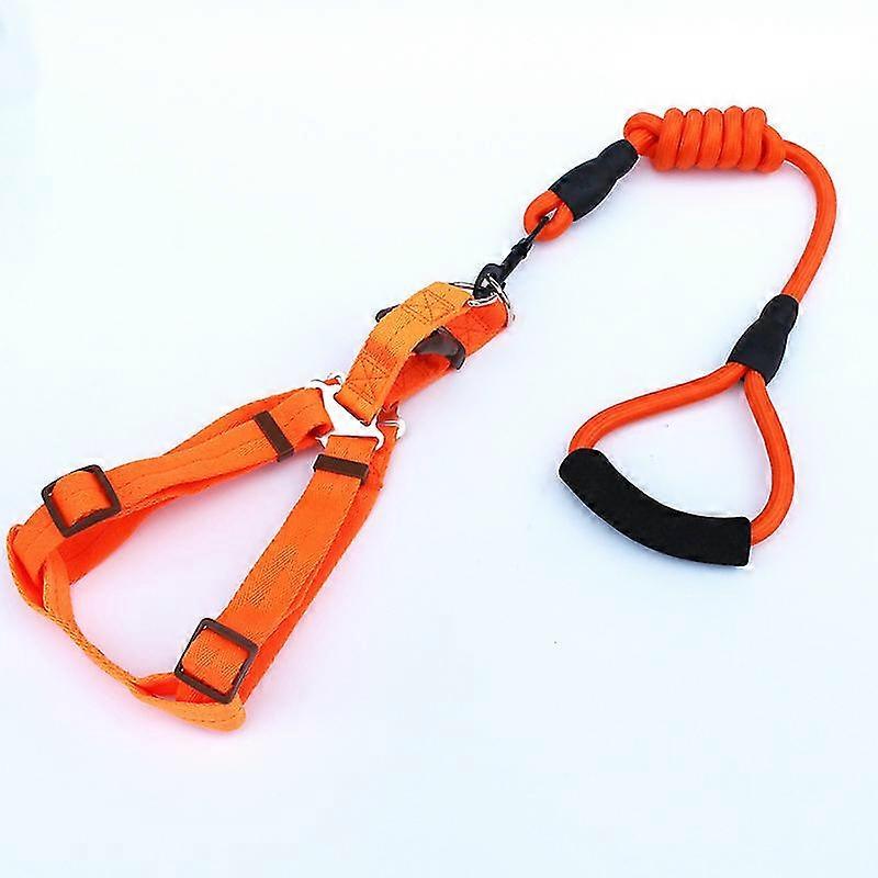 Durable Dog Leash And Chest Strap Set With Comfortable Padded Handle Nylon Pet Training Leash For Small Midium Large Dogs (1pc, Orange)