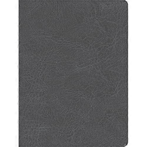 CSB He Reads Truth Bible, Smoke Leathertouch, Indexed