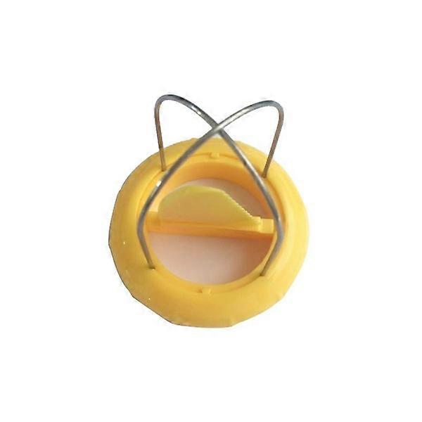 1PC Mini Fruit Kiwi Cutter Peeler Slicer Kitchen Gadgets Tools Kiwi Peeling Tools for Pitaya Slicer Kitchen Tools