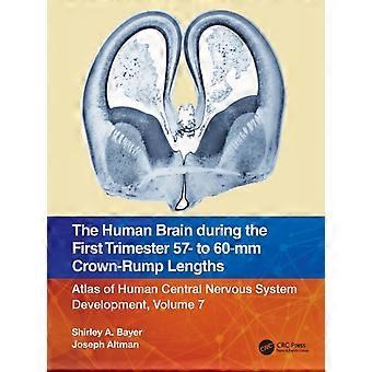 The Human Brain During The First Trimester 57- To 60-mm Crown-rump Lengths Atlas - Shirley A. Bayer