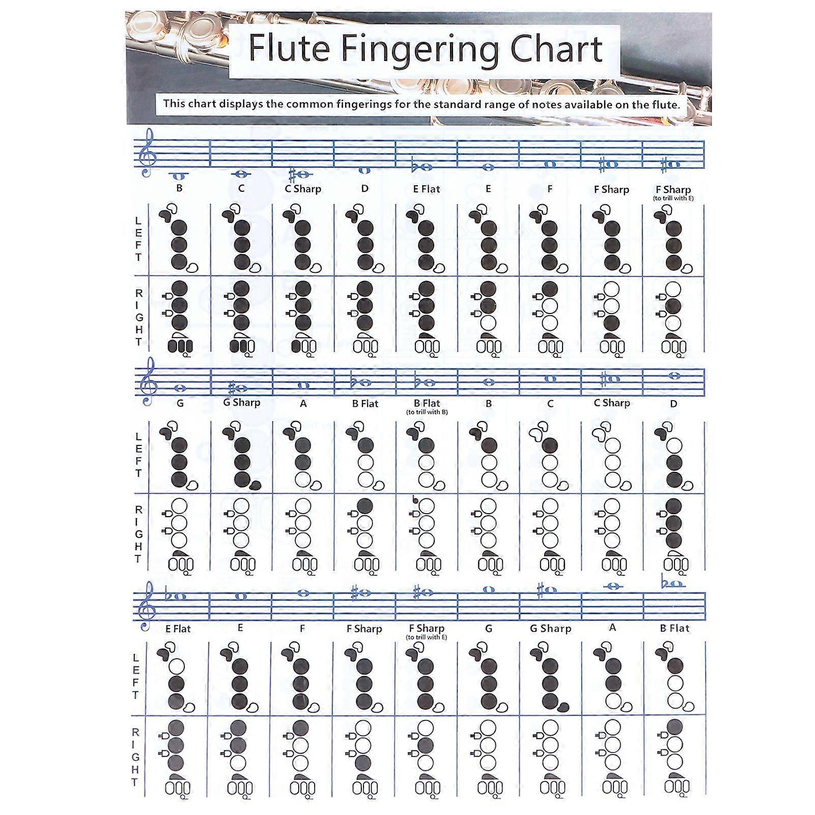 Flute Fingering Chord Chart Beginner Student Practice Teaching Aids Instrument AccessoriesS(28x21cm)