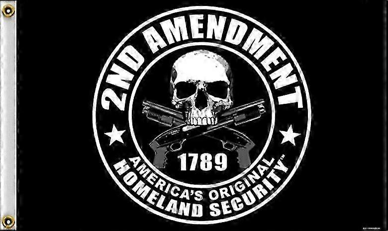 Motorcycle Homeland Security 2nd Amendment Flag