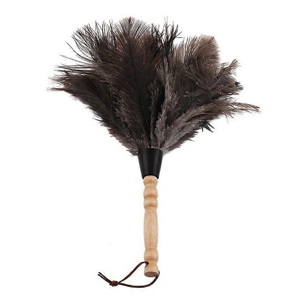 Extendable Feather Duster with Cobweb Brush for  Ceilings Ceiling Fans Blinds 3pcs Black