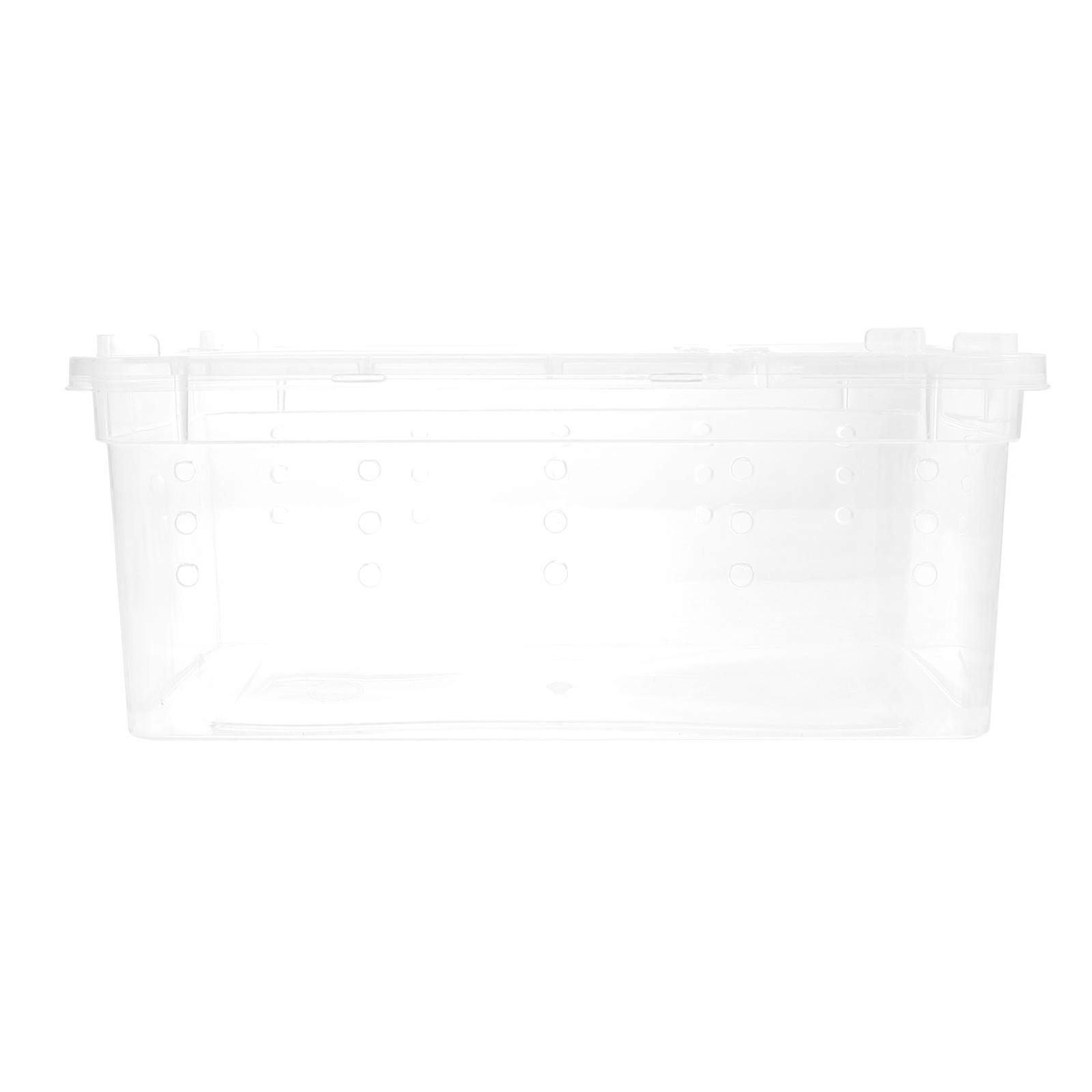 Transparent Plastic Reptile Feeding Box for Insect Holding 1Pcs