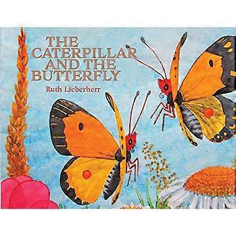 Die Raupe und der Schmetterling