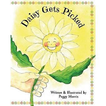 Daisy blir plukket