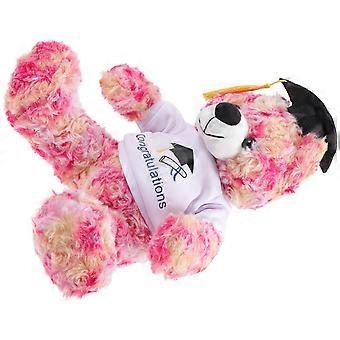 Graduation Bear Stuffed Plush Animal for Decoration Gift