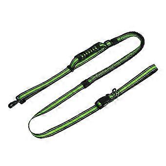Laisse pour chien en nylon vert avec sangle réfléchissante et ceinture mains libres pour promener son chien