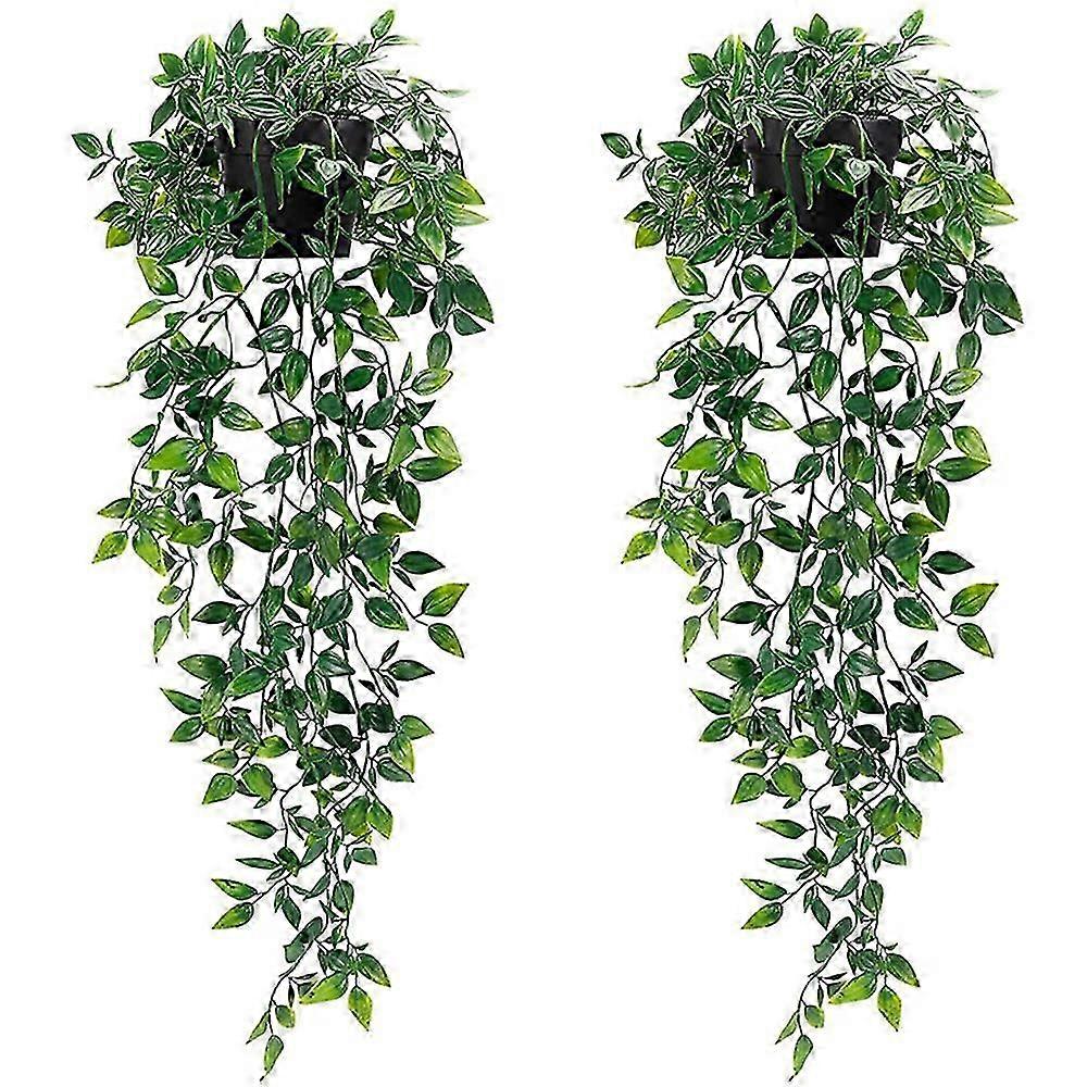 Low-Maintenance Eucalyptus Hanging Vine