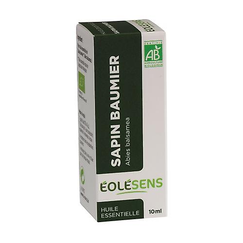 Balsam fir 10 ml of essential oil