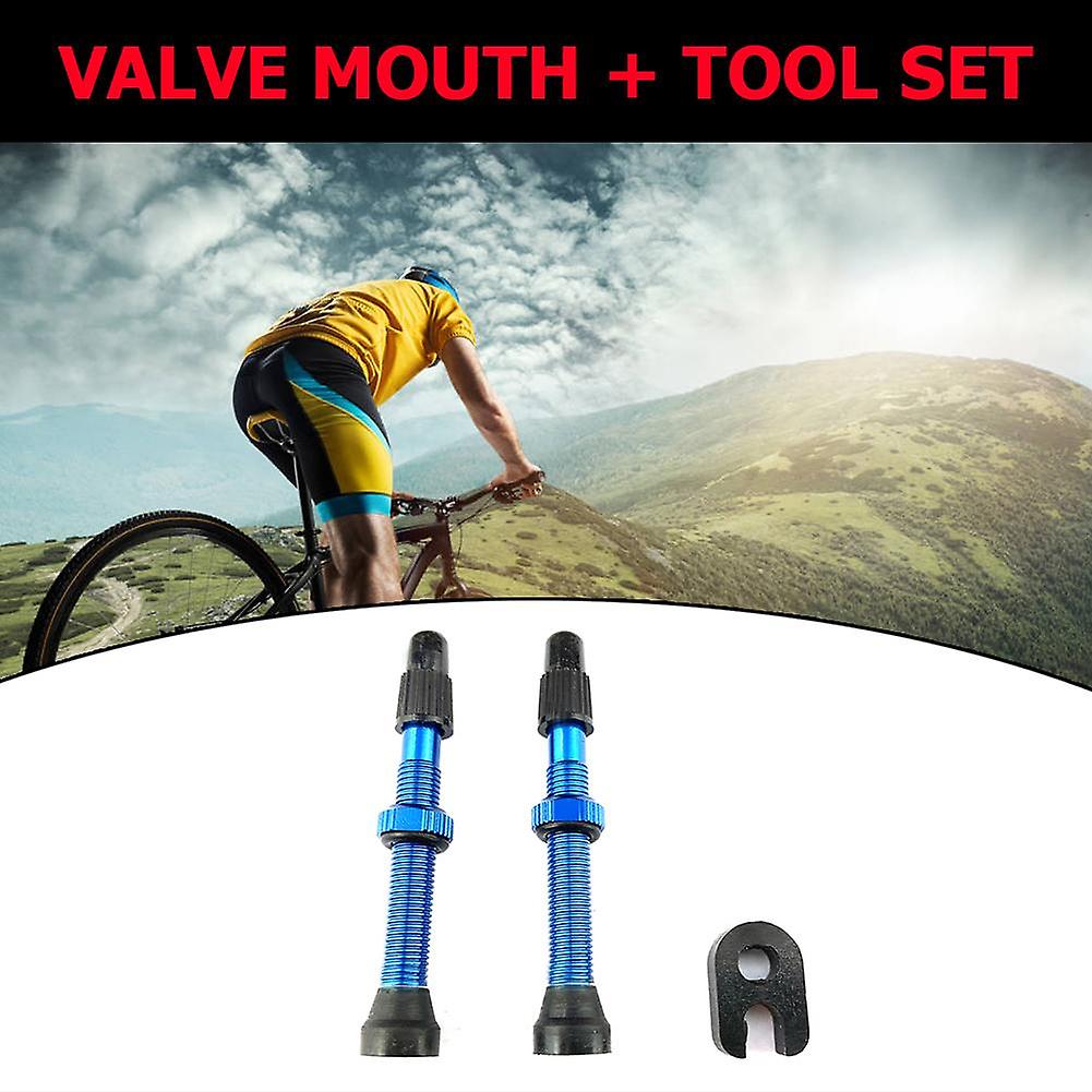 presta valve bike tire