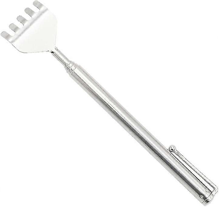 Telescopic Rear Squeegee With Rake Pocket (pen)