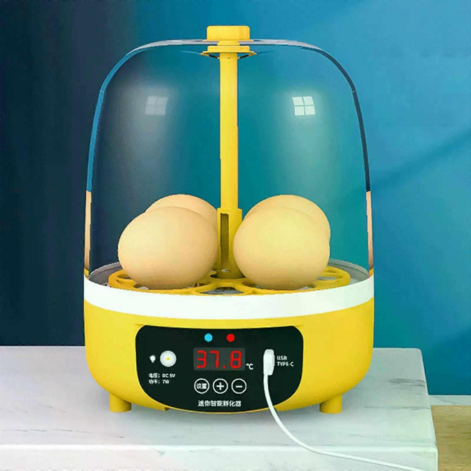 4 Eggs Incubator Mini Egg Hatcher Manual/Automatic Incubation Brooder Automatic Egg Turning Farm Incubation Tools