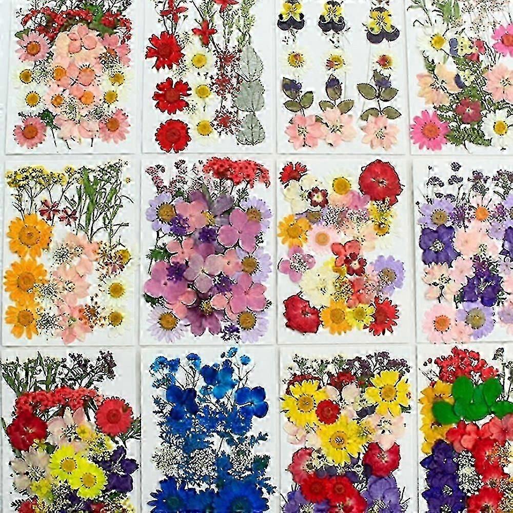 90 adet Gerçek Kurutulmuş Preslenmiş Çiçekler, Reçine İçin Kuru Preslenmiş Çiçekler Doğal Preslenmiş Çiçekler Yapraklar DIY El Sanatları Mum J Için Renkli Kurutulmuş Preslenmiş Çiçekler