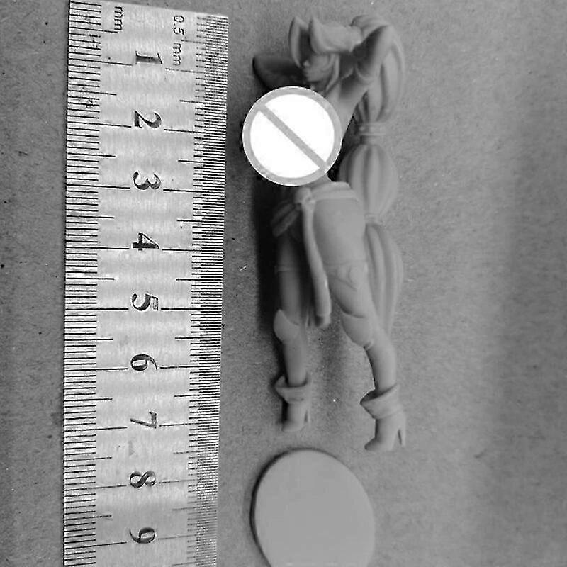 片目の海賊模型 レジンフィギュアキット 1/24スケール 75mmミニチュア 未組み立て 未塗装ジオラマ玩具