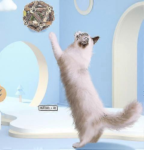 Catnip Toys Mint Ball Catnip Ball Playing Toy Supplies Pet Toy Cat toy Pet Toy