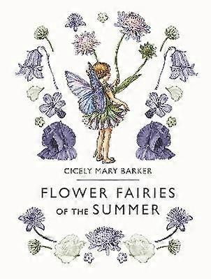 Flower Fairies of the Summer