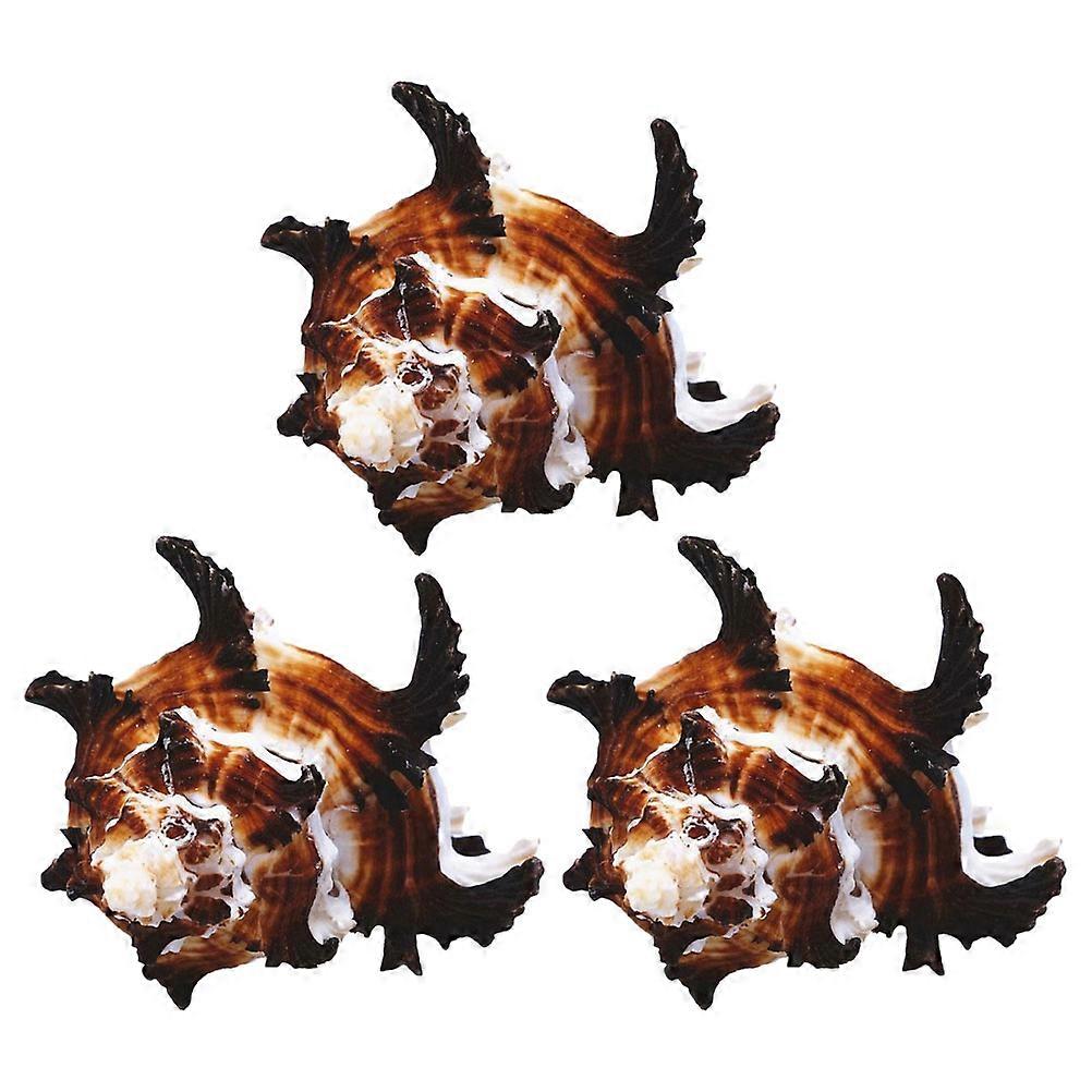 Aquarium Conch Decor Natural Shell Craft for Decor 9Pcs Bundle