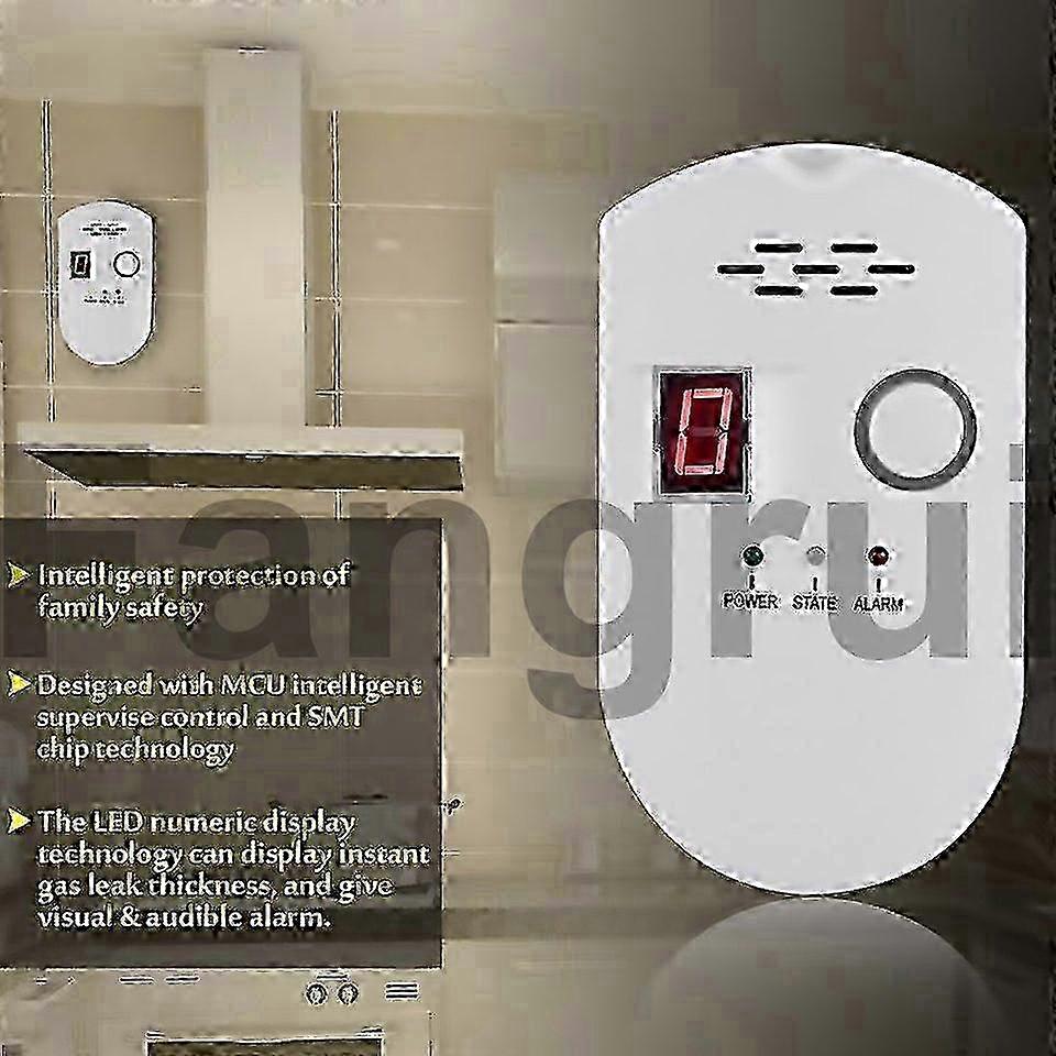 For Combustible Gas Pipeline Digital Display Alarm Crafted With Attention To Detail