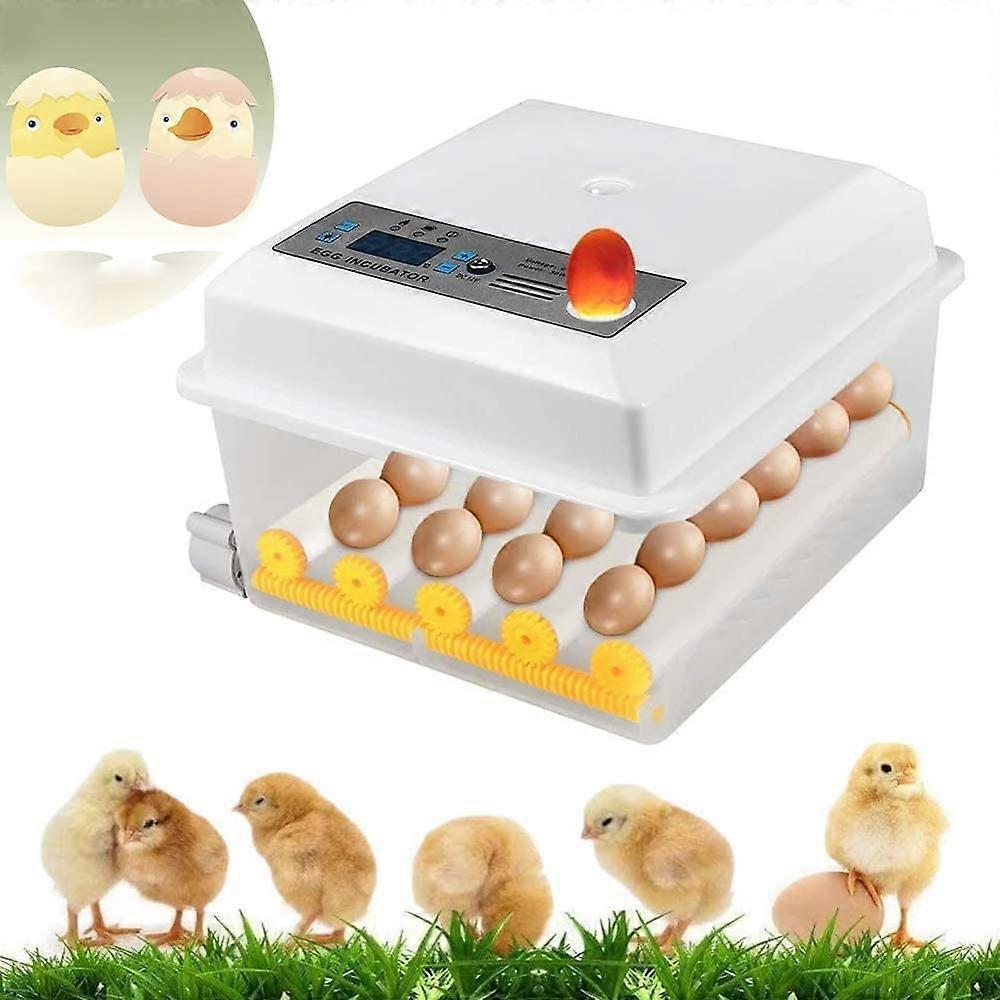 Automatic Egg Incubator 16 Eggs with Temperature Control, LED Observation and Automatic Turning for Poultry