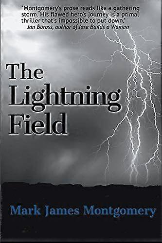 The lightning field
