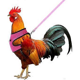 Chicken Harness With Leash Adjustable Breathable Hen Dog Harness Medium (blue)