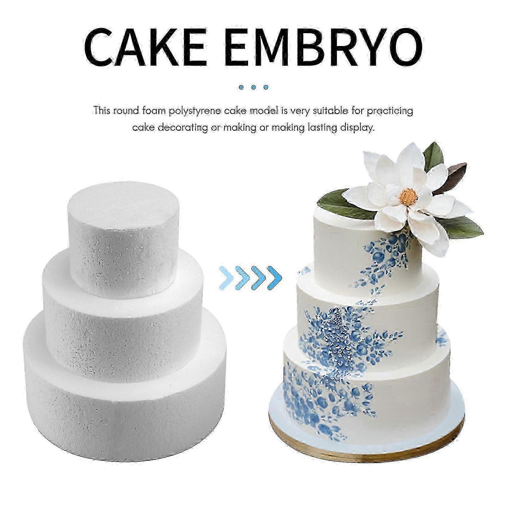Sturdy 4 6 8 Inch Cake Practice Dummies