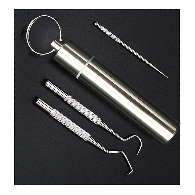 3Pcs Stainless Steel Toothpicks Cleaning Tooth Hook Scraper Portable Toothpick with Keychain Box for Home Travel