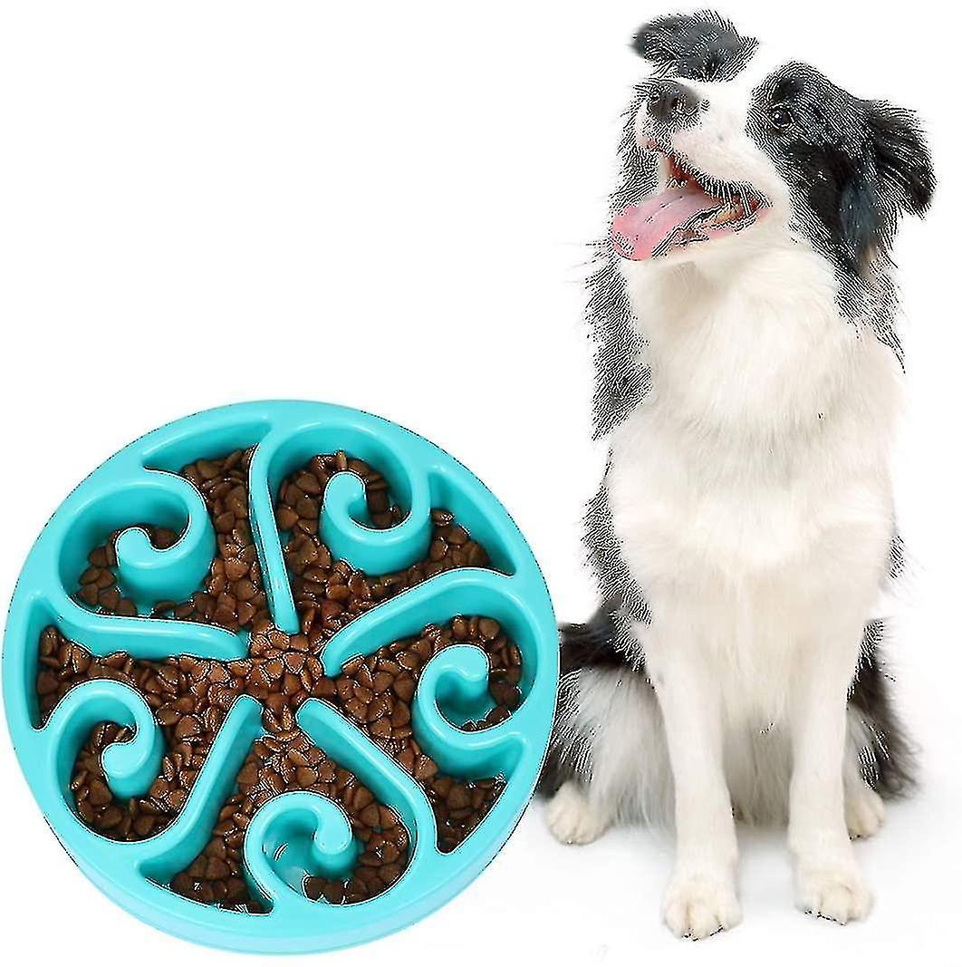 Slow Feeding Dog Bowl Pet Feeding Bowl Non-slip Slow Feeder Bowl