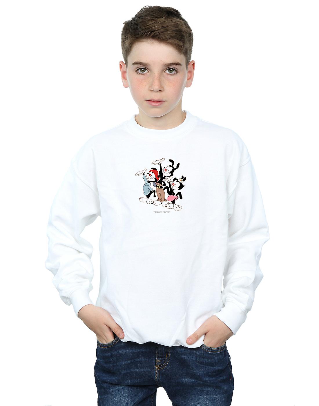 Animaniacs Boys Ta Da Sudadera