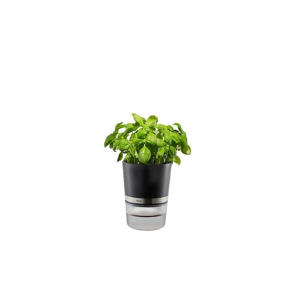 Botanico 14.5 CM Plastic Herb Pot