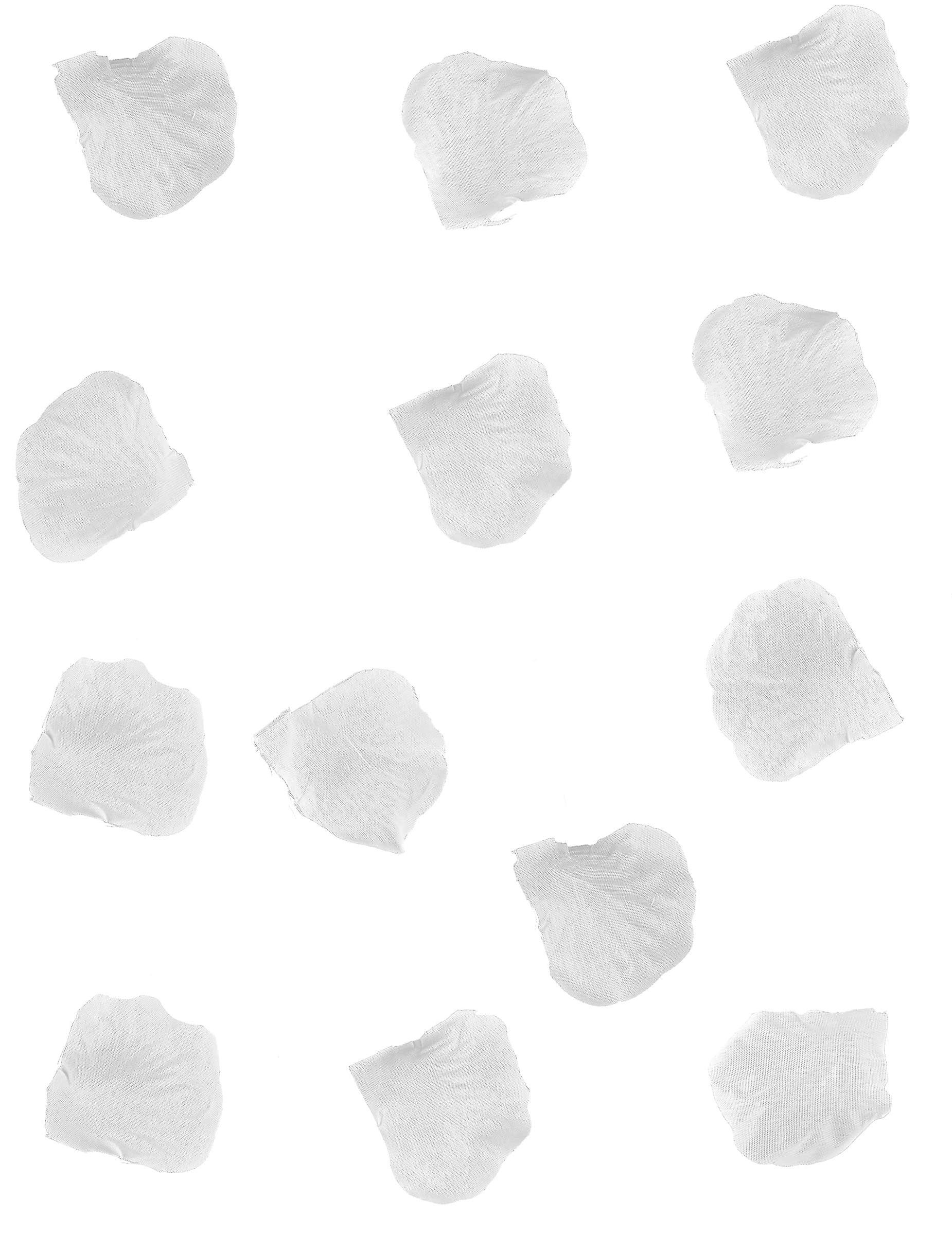 288 White petals