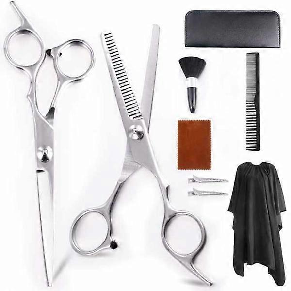 Professional Hairdressing Scissors and Thinning Scissors Luxury 9 pieces Silver