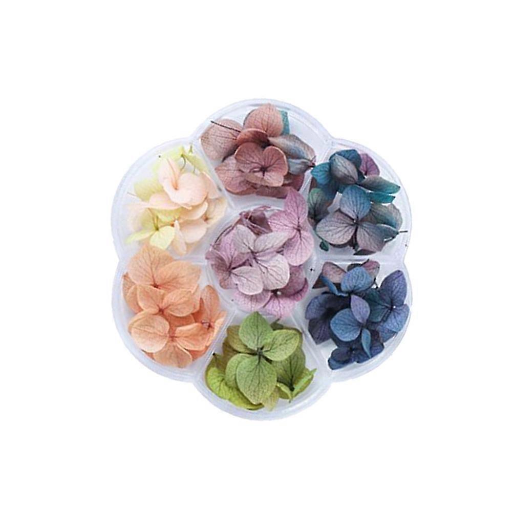 Nail Dried Flowers for Nail Art Assorted Color Synthetic Material Easy to Apply Fashionable Decoration Fits Most Nails Big and Small Styles
