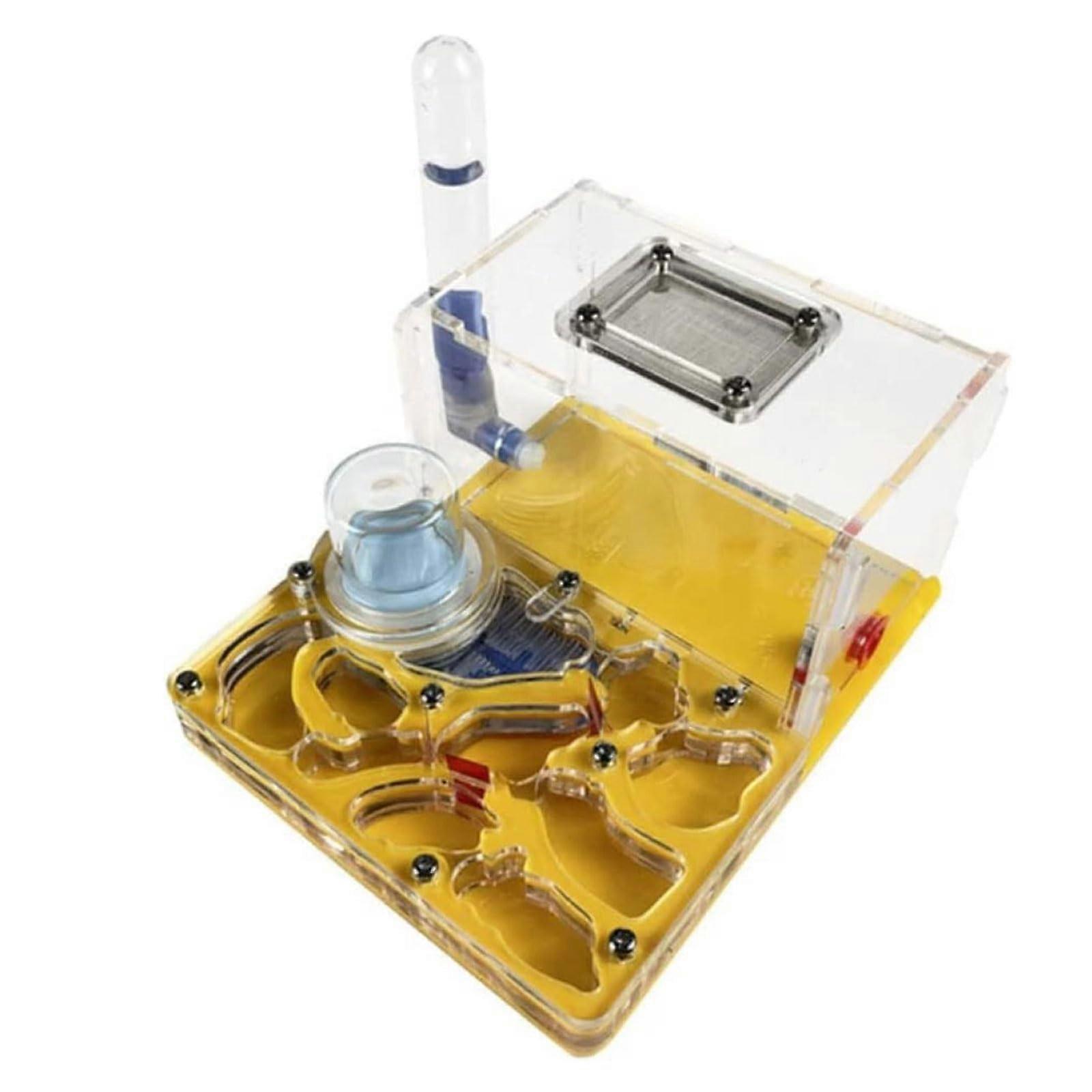 Acrylic Flat Ant Nest, Ant Farm, Ant Colony Experiment Nest, Ant Breeding Box with Visor and Water Dispenser, Ant Habitat for Ants