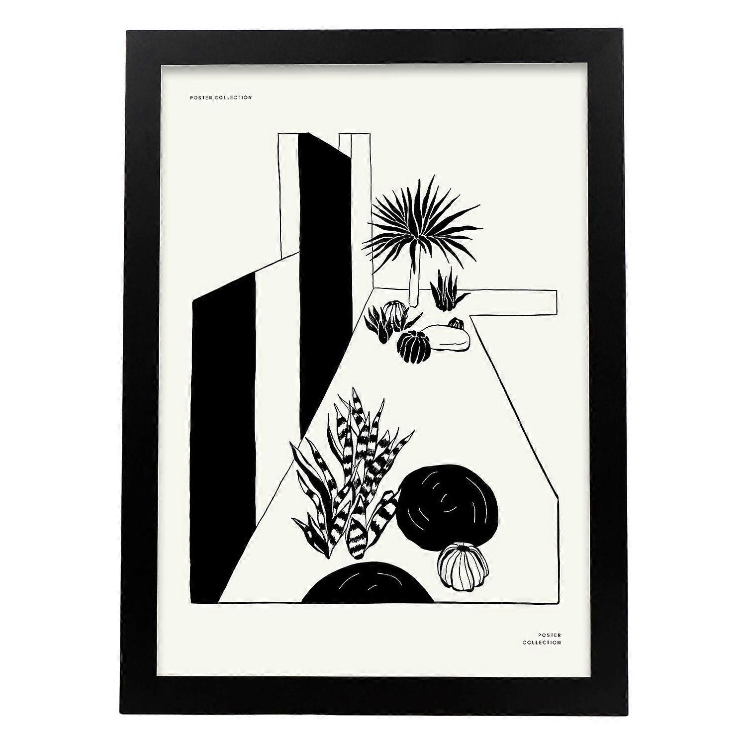 Affiche Plantes du Désert