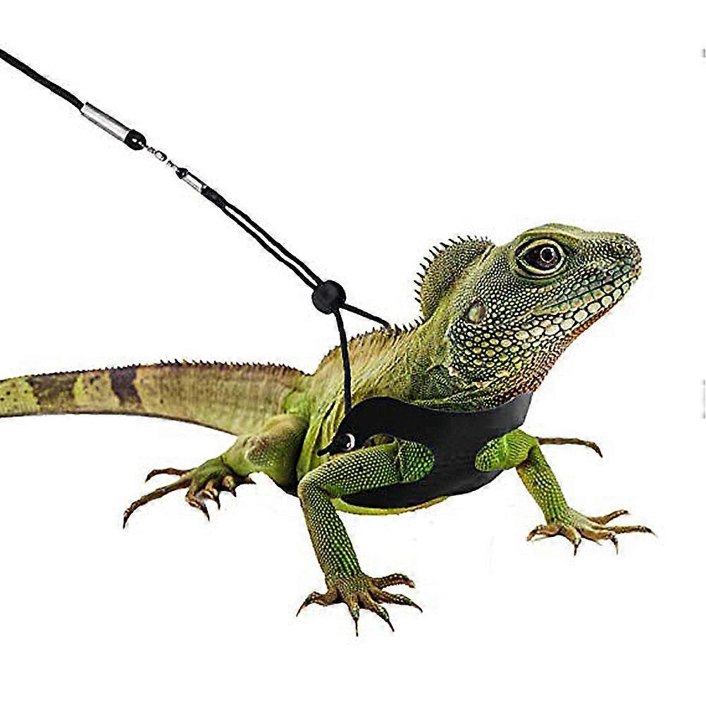 Lizard Hauling Rope Pet Chest Leash Without Wing with 4Sets for Pets