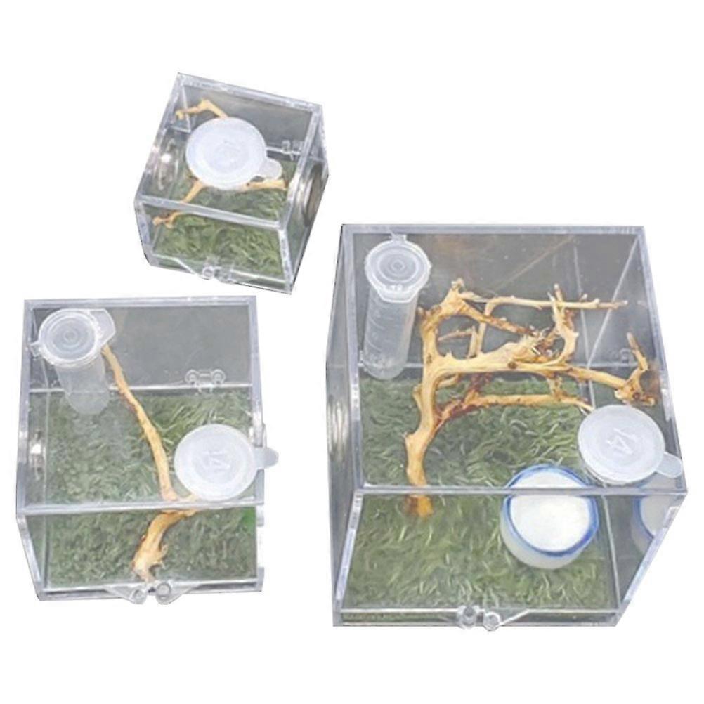 Insect Feeding Case For Breeding Small Reptile Spider Observation 6Pcs Durable Acrylic Structure
