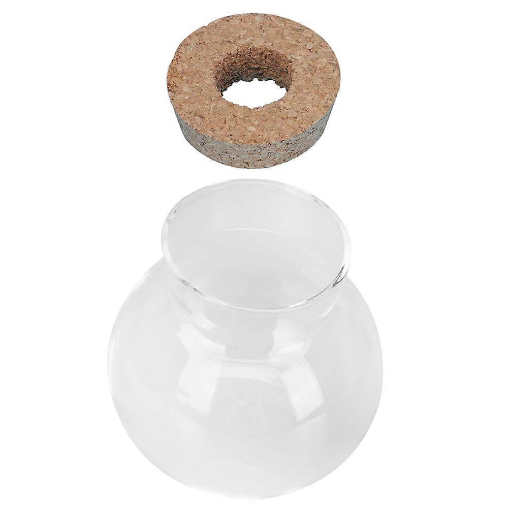 Glass Bottle for Decor 2Pcs Micro Landscape Planter Transparent Style