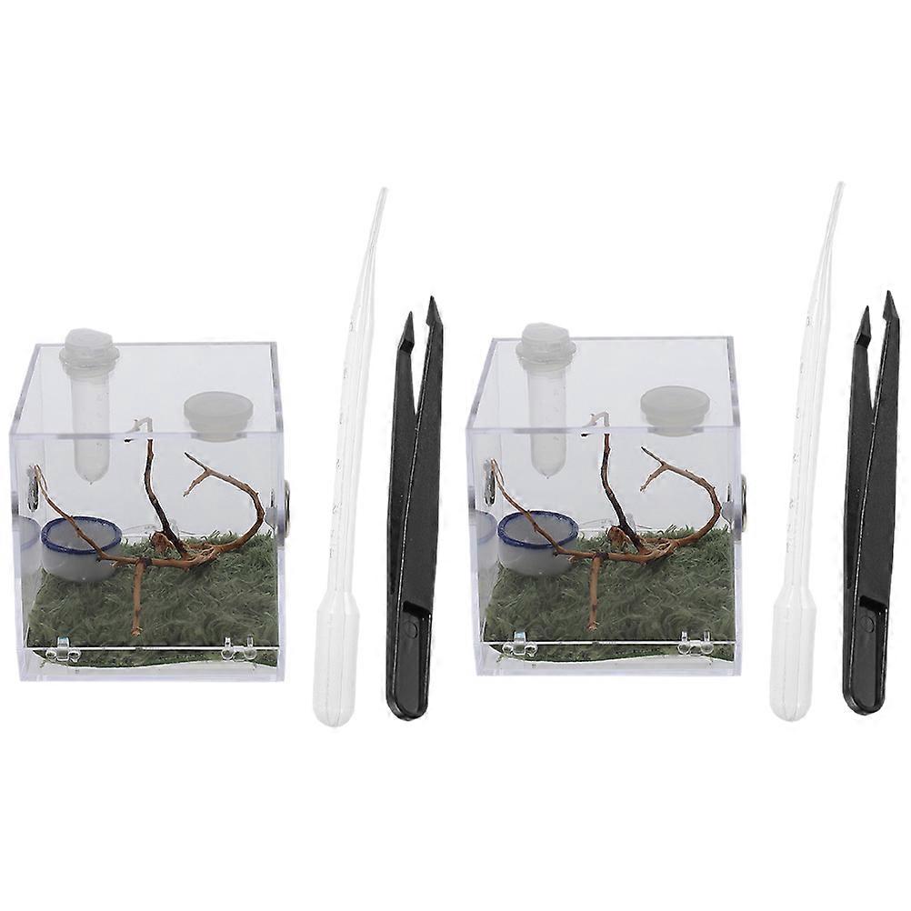 Acrylic Jumping Spider Enclosure Box for Insects Feeding 2Sets
