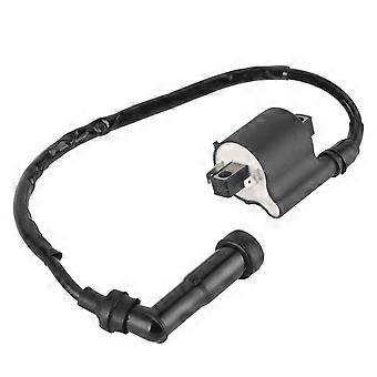 Ignition Coil 1D6?82310?00?00 Repalcement Fit for Yamaha Royal Star 1300/Venture 1300/Boulevard 1300