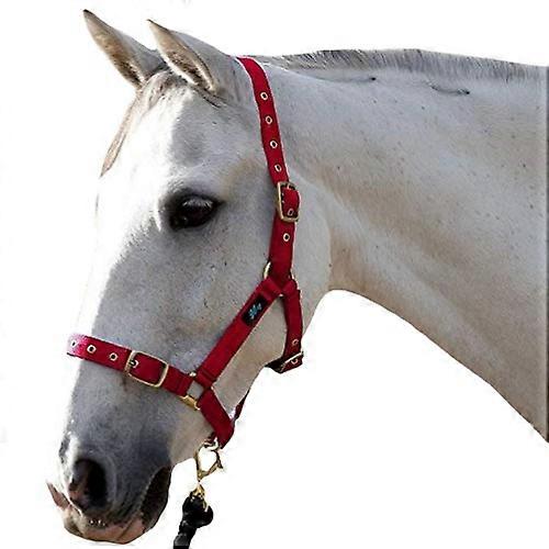 Hy Holly Fully Adjustable Head Collar