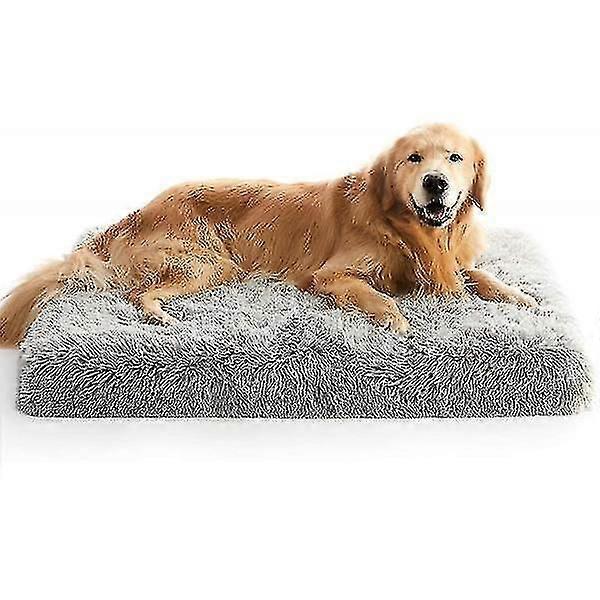 dog bed for large dogs