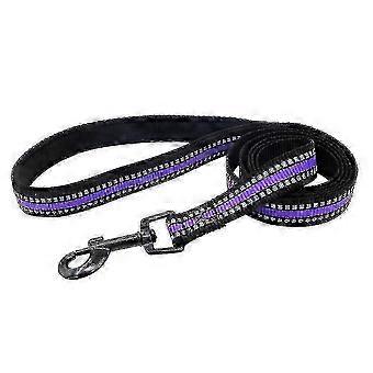 Reflective Padded Dog Leash